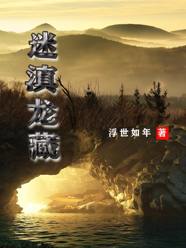 迷滇龙藏