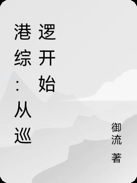 港综：从巡逻开始