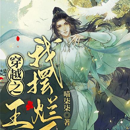 穿越之王爷我摆烂了