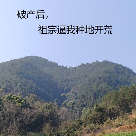 破产后,祖宗逼我种地开荒