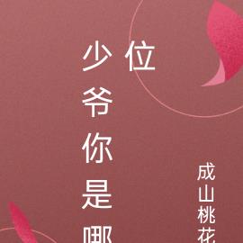 少爷你是哪位？