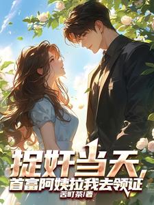 捉奸当天,首富阿姨拉我去领证