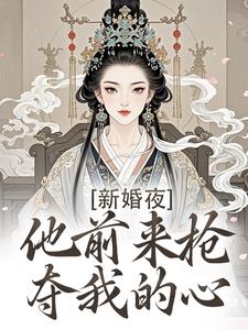 新婚夜,他前来抢夺我的心