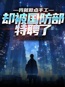 我就做点手工,却被国防部特聘了